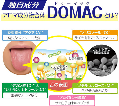 【独自成分】アロマ成分複合体「DOMAC」とは？イメージ